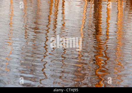 Baum-Reflexionen in Junction Creek, Greater Sudbury, Ontario, Kanada Stockfoto