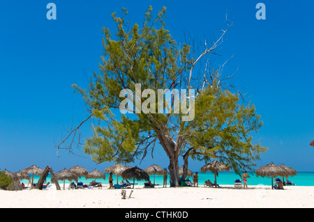 Strandbar, Paradise Beach, Cayo Largo del Sur, Kuba Stockfoto