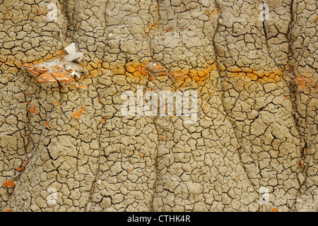 Bentonit Tonstein Details, Theodore-Roosevelt-Nationalpark (South Unit), North Dakota, USA Stockfoto