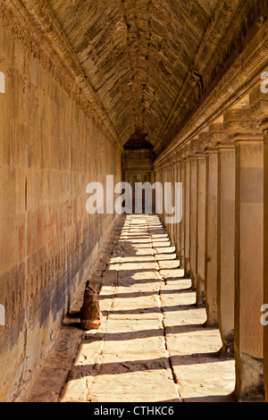 Spalten im Süden Galerie, Tempel Angkor Wat, Kambodscha, Asien Stockfoto