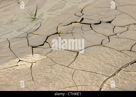 Frühling Boden Muster Risse in schlammigen waschen n die Badlands, Theodore-Roosevelt-Nationalpark (South Unit), North Dakota, USA Stockfoto