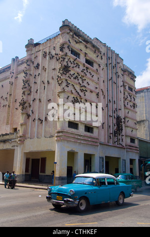 Ameise bedeckt Bau Kunst Installation, Havanna, Kuba Stockfoto