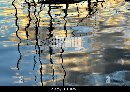 Boot-Reflexionen in Nanaimo Harbour Wasser, Nanaimo, British Columbia, Kanada Stockfoto