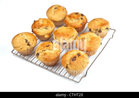 Hausgemachte Banana chocolate Chip Muffins auf einem Gitter auskühlen. Stockfoto