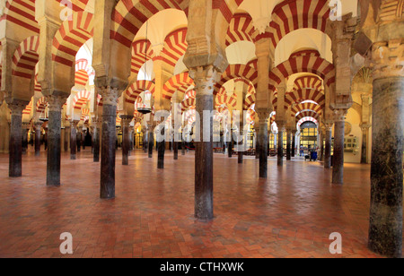 Spanien; Andalusien; Cordoba Mezquita-Kathedrale, innen, Stockfoto