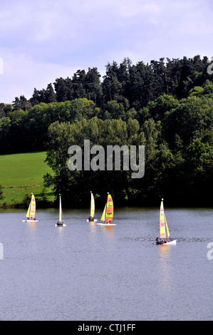 Aydat See im Herzen des Regionalen Parks von volcnoes Auvergne, Puy-de-Dôme, Auvergne, Massif-Central, Frankreich Stockfoto