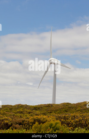 Windkraftanlage im Windpark Albany an Sandpatch; Albany, Western Australia, Australien Stockfoto