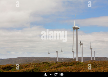 Die Windkraftanlagen an der Albany-Windpark bei Sandpatch; Albany, Western Australia, Australien Stockfoto