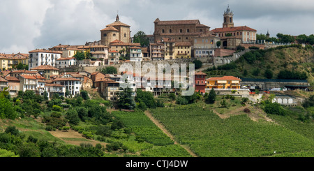 Monteforte D Alba, Weinberge, Panorama, Provinz Piemont, Italien Stockfoto