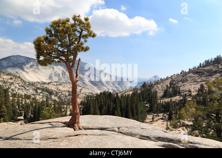 Yosemite-Nationalpark: Olmstead Punkt Stockfoto