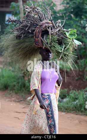 Eine Frau trägt Holz und anderen Materialien durch ein Dorf im Luwero Distrikt von Uganda. Stockfoto