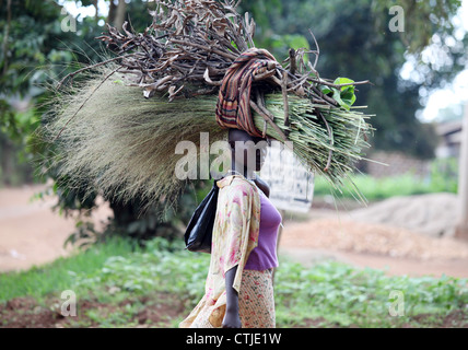 Eine Frau trägt Holz und anderen Materialien durch ein Dorf im Luwero Distrikt von Uganda. Stockfoto