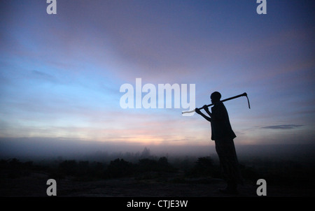 Ein Landwirt Heads als Morgenrot über die Stadt Lira im Stadtteil Lira in Norduganda zu arbeiten. Stockfoto