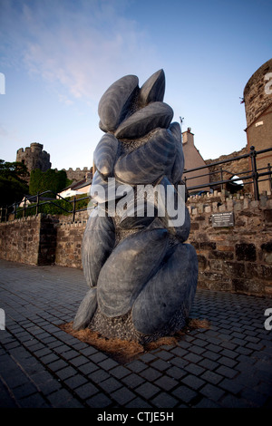 Eine Kalkstein-Skulptur von Miesmuscheln Mytilus Edulis auf Conwy Quay von Graeme Mitcheson Pic Colin Paxton/CP Photography Stockfoto