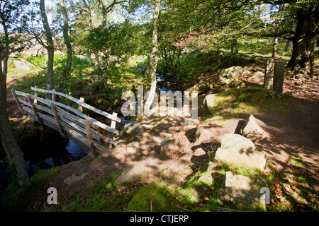 Eine Holzbrücke über Burbage Bach fließt in Padley Schlucht im Peak District Nationalpark Derbyshire England UK Stockfoto