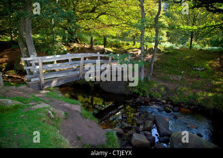 Eine Holzbrücke über Burbage Bach fließt in Padley Schlucht im Peak District Nationalpark Derbyshire England UK Stockfoto