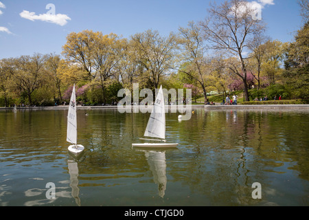 Fernbedienung-Segelboote, Konservatorium Wasser im Central Park in New York City Stockfoto