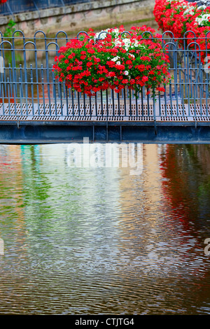 Metall-Brücke am Bach Leuk (auch Leukbach) und Geranien Blumen in Saarburg, Rheinland-Pfalz, Deutschland, Sommer Stockfoto