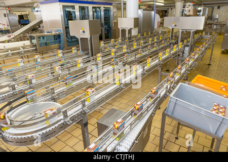 Käserei zeigen Kartons Schokolade Milch MS Dairies, Selfoss Island Stockfoto