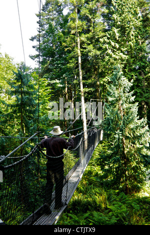 Man überquert ausgesetzt Luft Baum überdachunggehweg UBC Botanischer Garten Vancouver BC Stockfoto