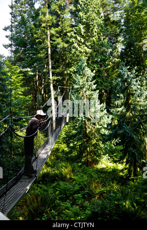 Mann am Boden aus schwebenden schmale Metall Gehweg im Baum Baldachin-UBC Botanischer Garten Stockfoto