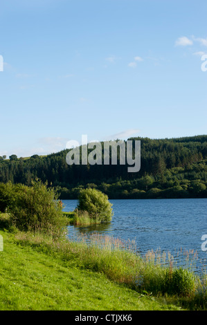 Llwyn-am-Stausee, Merthyr Tydfil, Brecon Beacons, Wales Stockfoto