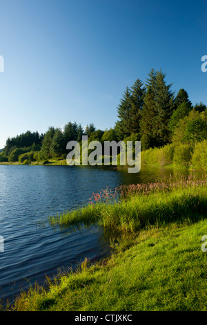 Llwyn-am-Stausee, Merthyr Tydfil, Brecon Beacons, Wales Stockfoto