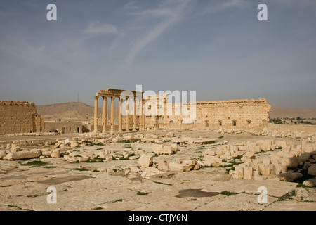 Palmyra antike römische Stätte, in Syrien, in der Nähe von Damaskus. Stockfoto