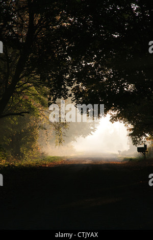 Sonnenaufgang über Landstraße, USA Stockfoto