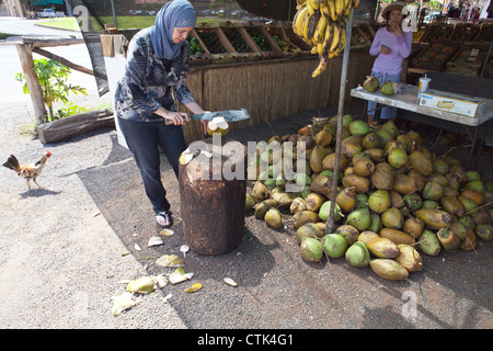 Frauenbeschneidung öffnen Kokosnuss Milch als Nahrungsergänzung Getränk in Maui, Hawaii zu verkaufen. Stockfoto
