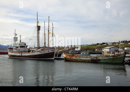 Island, Husavik, ein Fischerdorf und ein Zentrum des Whale-watching in Nordisland Stockfoto