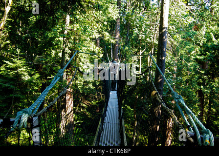 Man überquert schmale Kabel ausgesetzt Baum Baldachin Gehweg UBC Botanischer Garten Forest grove Stockfoto