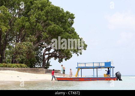 Touristen, die immer aus einem Glas Talsohle Boot in der Nähe von Holetown Barbados. Bild von James Boardman. Stockfoto