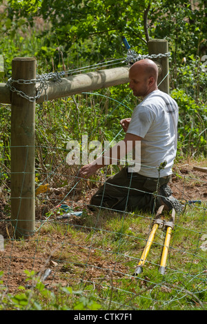 Fechten. Holz Draht Beiträge und Schiene verwendet, um zu unterstützen und Abhängigkeiten Schafe Netting. Inländischen landwirtschaftlichen Nutztiere enthält. Stockfoto