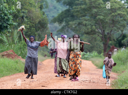 Frauen auf dem Weg zur Arbeit in die Felder im Bereich "Mawale" des Bezirks Luwero in Zentraluganda. Stockfoto