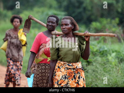 Frauen auf dem Weg zur Arbeit in die Felder im Bereich "Mawale" des Bezirks Luwero in Zentraluganda. Stockfoto