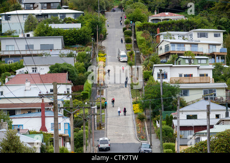 Baldwin Street, Die Steilste Straße der Welt in Dunedin, Neuseeland Stockfoto