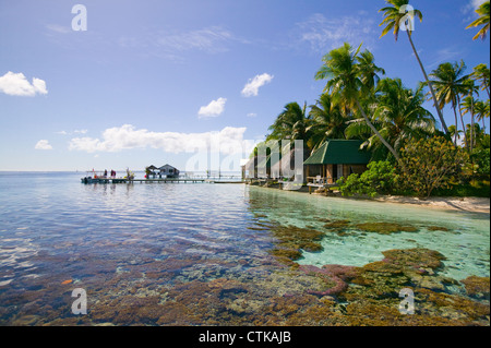 Laguna des Fakarava Atolls, Tuamotus Archipel, Französisch-Polynesien Stockfoto