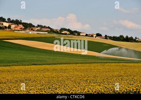 Dorf auf dem Lande Pardines Puy de Dome Auvergne Zentralmassiv-Frankreich Stockfoto