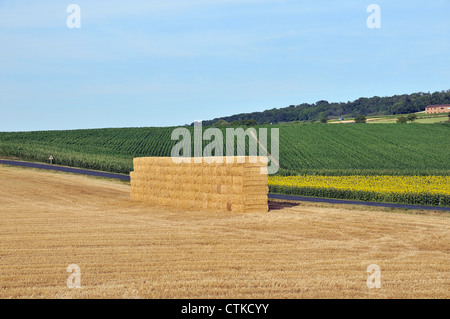 Land Puy de Dome Auvergne Frankreich Stockfoto