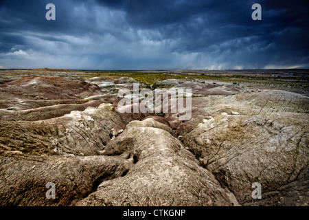 Gewitterhimmel über die blue Mesa Badlands im Petrified Forest National park Stockfoto