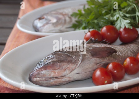 Zackenbarsch und Dentex gebacken mit Tomaten, leckeren Fisch der italienischen Küche Stockfoto