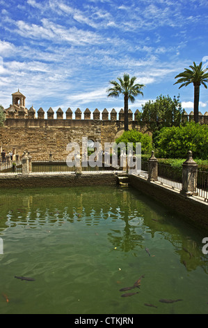 Maurischen Gärten von der christlichen Könige Alcazar. 14. Jahrhundert. Cordoba. Andalusien. Spanien. Stockfoto