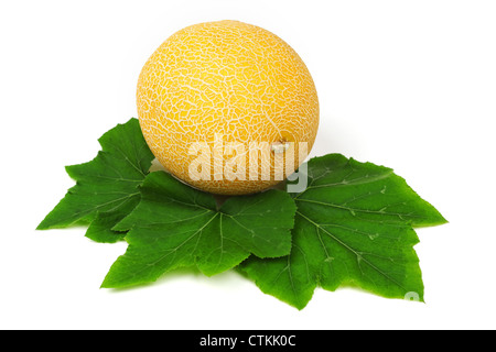 Galia Melone isoliert auf weiss Stockfoto