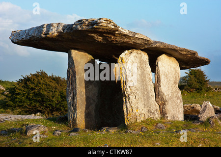 Die Poulnabrone Dolmen in der Nähe von Ballyvaughan; County Clare, Irland Stockfoto