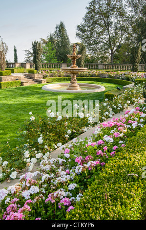 Die wunderschönen Gärten von Greystone Mansion in Beverly Hills. Stockfoto