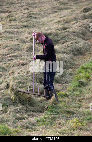 Dales Farming  Heu machen in North Yorkshire Dales, Nationalpark, Richmondshire, Großbritannien Stockfoto