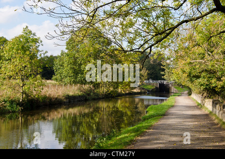 Herbstliche Sonnenlicht auf die Leeds und Liverpool Canal in der Nähe von Hirst Lock Stockfoto