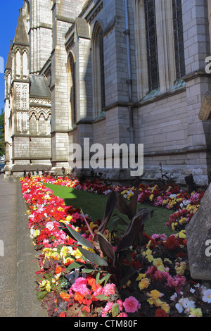 Blütenpracht außerhalb Truro Cathedral Cornwall UK Stockfoto