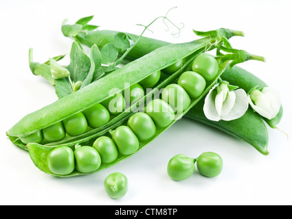 Hülsen von Erbsen mit Blättern auf weißem Hintergrund. Stockfoto